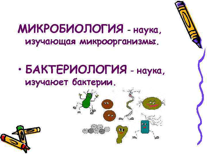 МИКРОБИОЛОГИЯ - наука, изучающая микроорганизмы. • БАКТЕРИОЛОГИЯ изучаюет бактерии. - наука, 