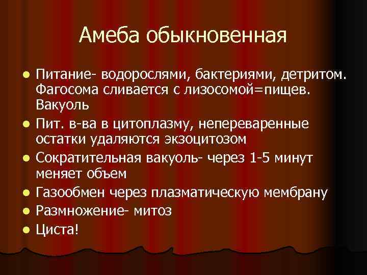Амеба обыкновенная l l l Питание- водорослями, бактериями, детритом. Фагосома сливается с лизосомой=пищев. Вакуоль