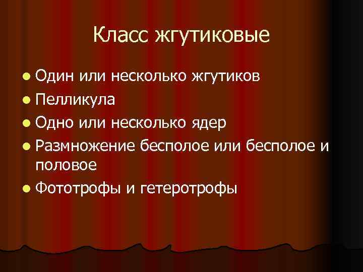 Класс жгутиковые l Один или несколько жгутиков l Пелликула l Одно или несколько ядер