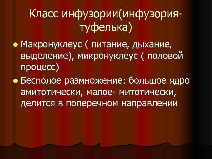 Класс инфузории(инфузориятуфелька) l Макронуклеус ( питание, дыхание, выделение), микронуклеус ( половой процесс) l Бесполое