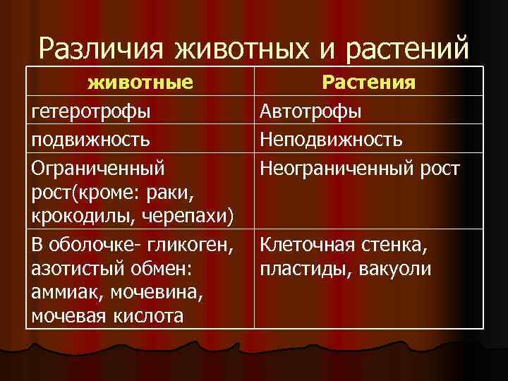 Сходство растений и животных