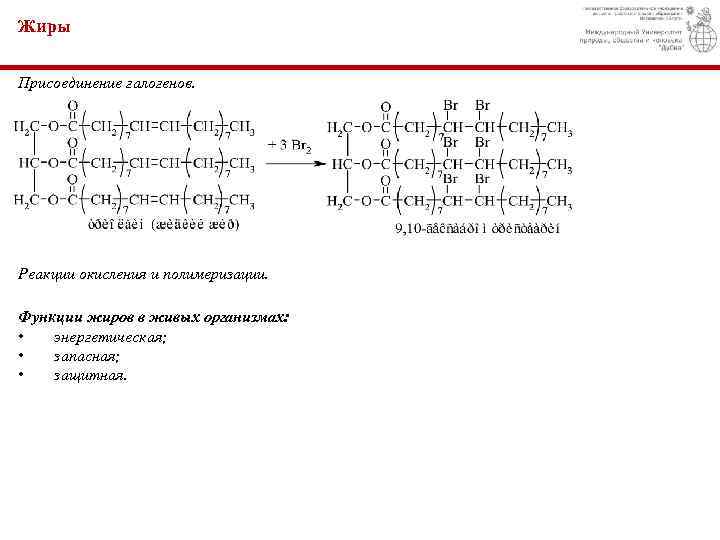 Жиры Присоединение галогенов. Реакции окисления и полимеризации. Функции жиров в живых организмах: • энергетическая;