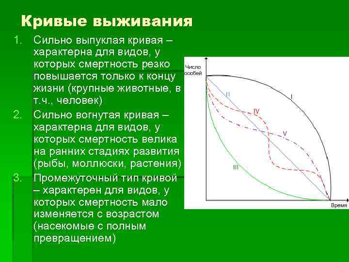 В каких кривых