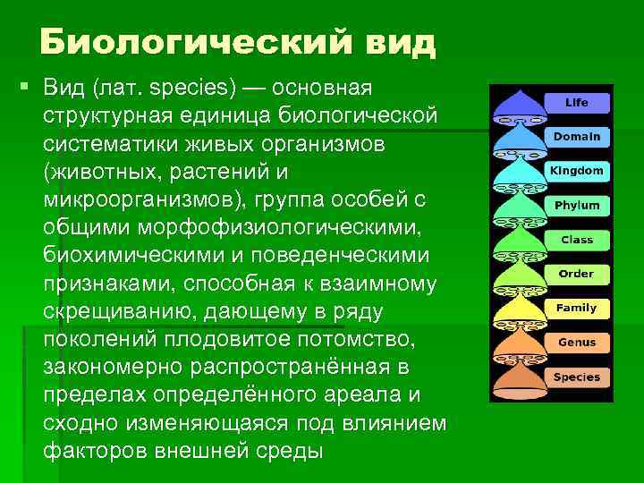 Типы видов биология. Биологический вид. Вид биологический вид. Биологические виды какие бывают. Вид это в биологии.