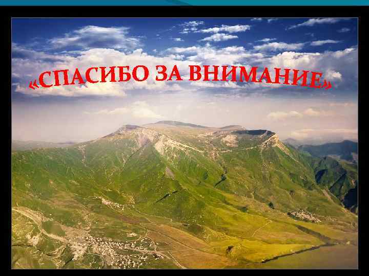 СПАСИБО ЗА ВНИМАНИЕ 