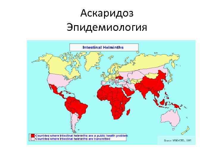 Аскаридоз Эпидемиология 
