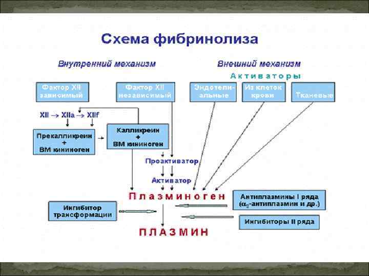 Схема фибринолиза физиология