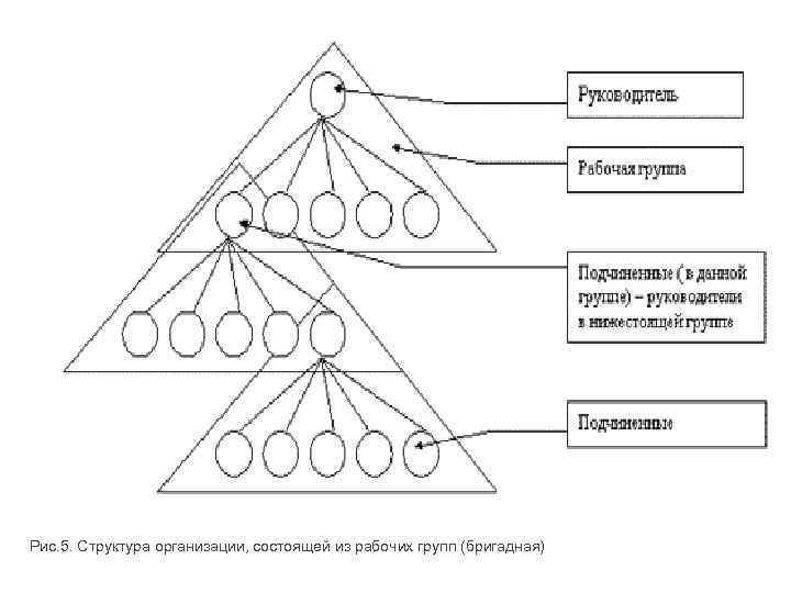  Рис. 5. Структура организации, состоящей из рабочих групп (бригадная) 