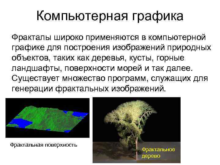 Компьютерная графика Фракталы широко применяются в компьютерной графике для построения изображений природных объектов, таких