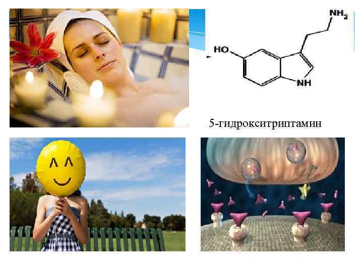 5 -гидрокситриптамин 