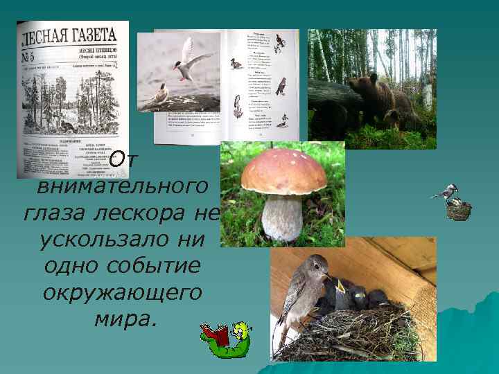 От внимательного глаза лескора не ускользало ни одно событие окружающего мира. 