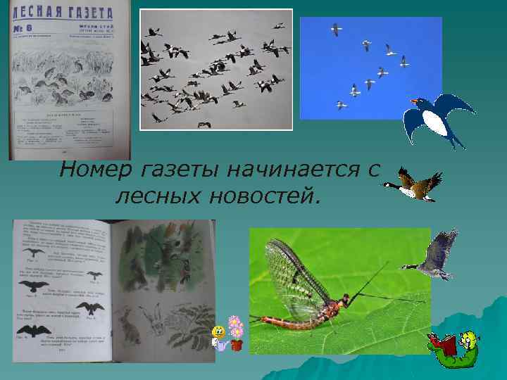 Номер газеты начинается с лесных новостей. 