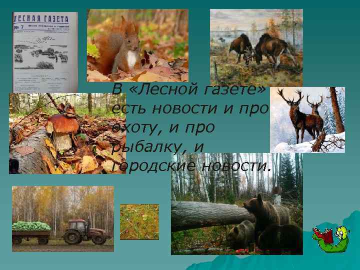 В «Лесной газете» есть новости и про охоту, и про рыбалку, и городские новости.