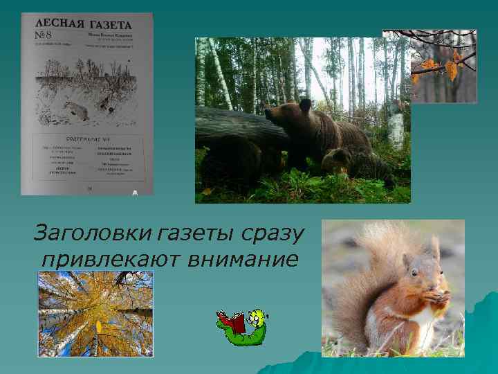 Заголовки газеты сразу привлекают внимание 