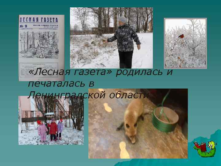  «Лесная газета» родилась и печаталась в Ленинградской области. 