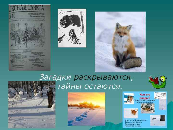 Загадки раскрываются, а тайны остаются. 
