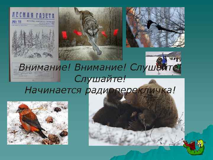 Внимание! Слушайте! Начинается радиоперекличка! 