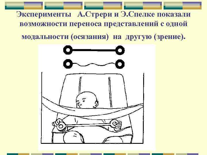Эксперименты А. Стрери и Э. Спелке показали возможности переноса представлений с одной модальности (осязания)