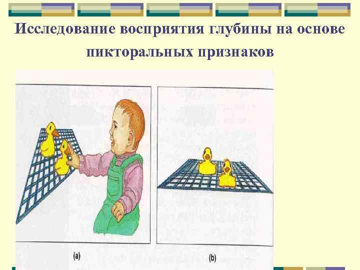 Исследование восприятия глубины на основе пикторальных признаков 