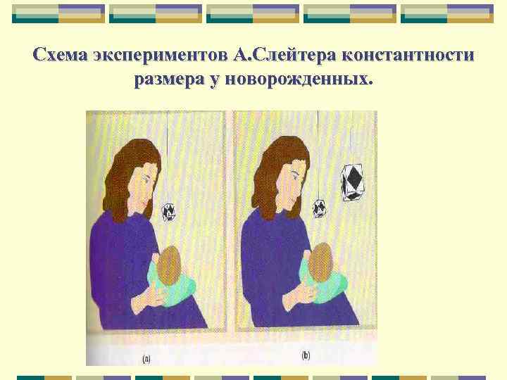 Схема экспериментов А. Слейтера константности размера у новорожденных 