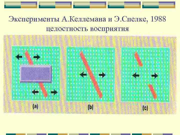 Эксперименты А. Келлемана и Э. Спелке, 1988 целостность восприятия 