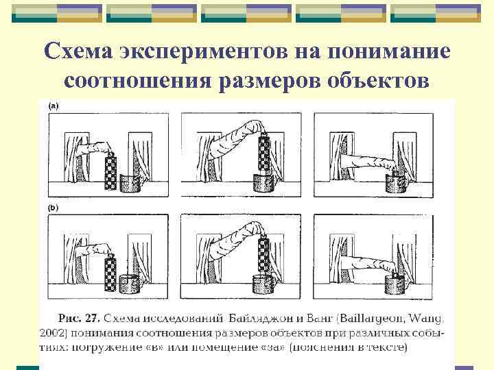 Схема экспериментов на понимание соотношения размеров объектов 