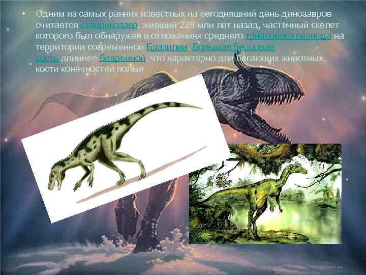  • Одним из самых ранних известных на сегодняшний день динозавров считается ставрикозавр, живший