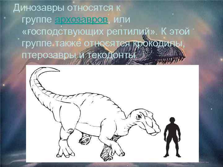 Динозавры относятся к группе архозавров, или «господствующих рептилий» . К этой группе также относятся