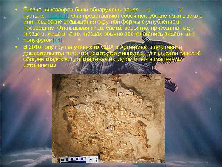  • • Гнезда динозавров были обнаружены ранее — в 1923 году в пустыне