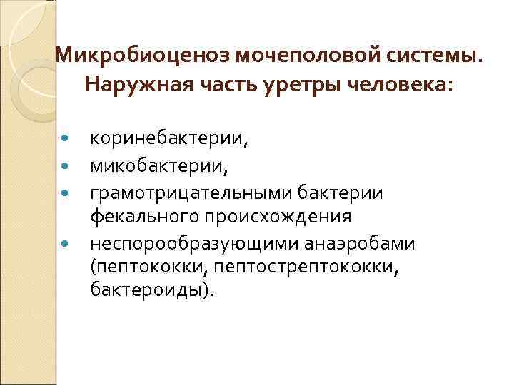 Микробиоценоз мочеполовой системы. Наружная часть уретры человека: коринебактерии, микобактерии, грамотрицательными бактерии фекального происхождения неспорообразующими