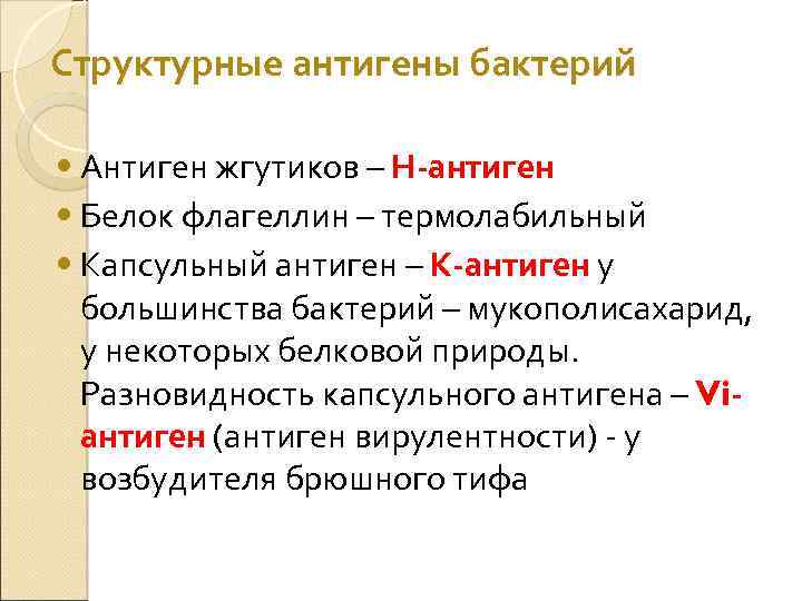 Структурные антигены бактерий • Антиген жгутиков – Н антиген • Белок флагеллин – термолабильный