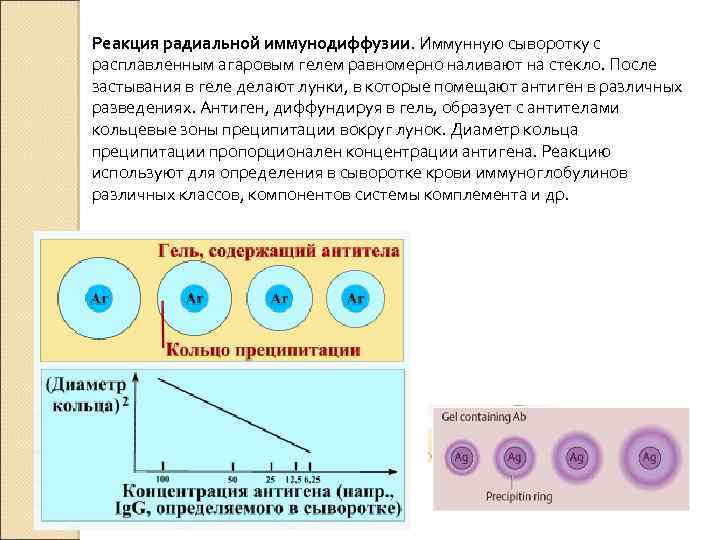 Иммунные сыворотки