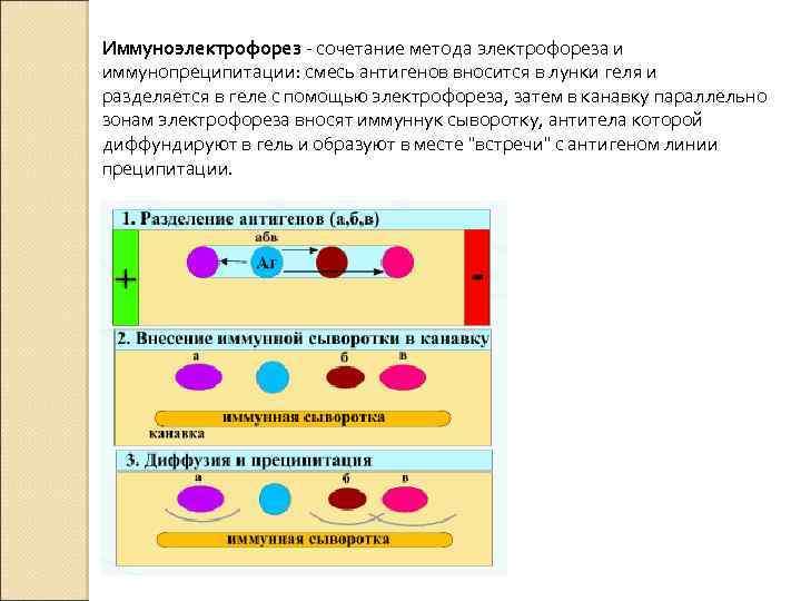 Combination method. Иммуноэлектрофорез. Иммунный электрофорез. Реакция иммуноэлектрофореза. Иммуноэлектрофорез микробиология.