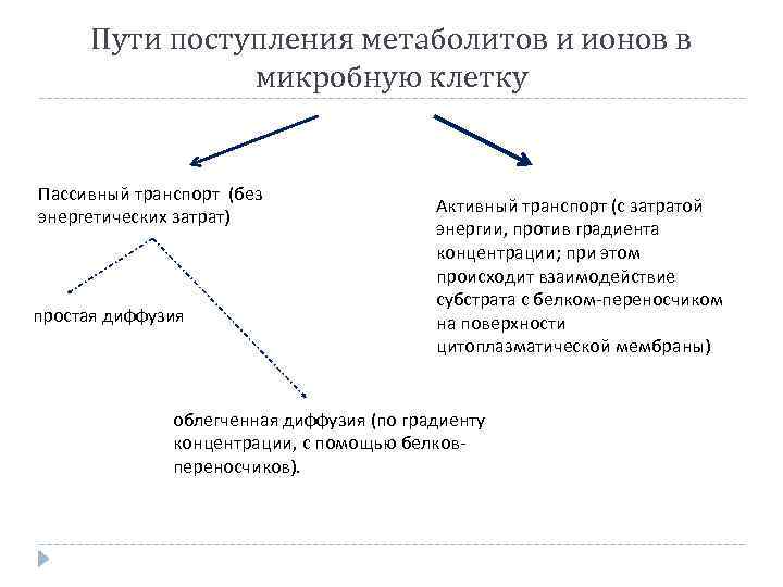 Пути поступления метаболитов и ионов в микробную клетку Пассивный транспорт (без энергетических затрат) простая