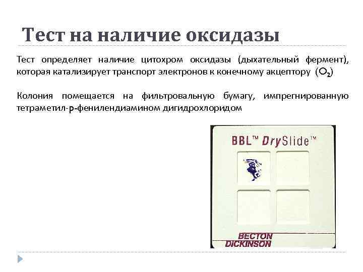 Тест на наличие оксидазы Тест определяет наличие цитохром оксидазы (дыхательный фермент), которая катализирует транспорт