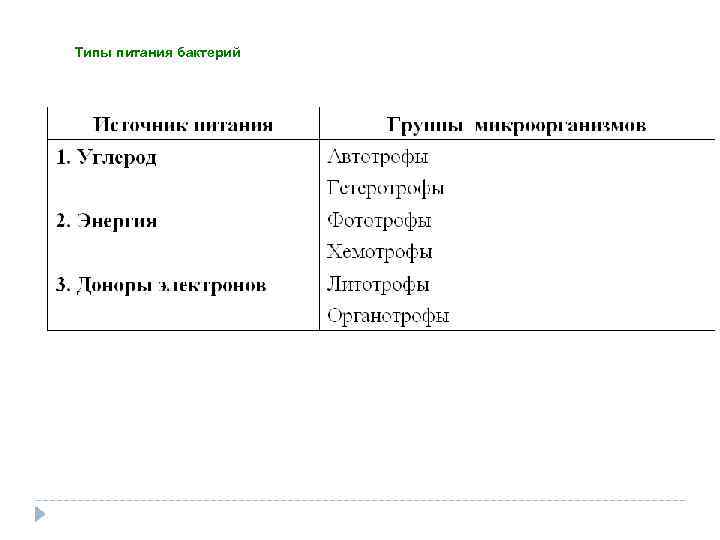 Типы питания бактерий 
