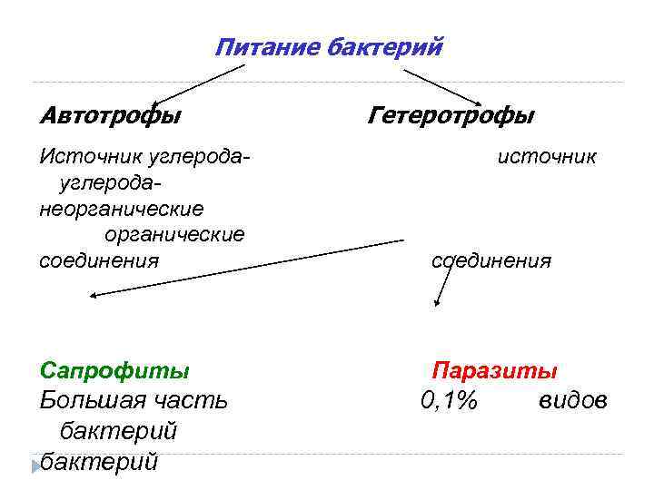 Ауксотрофы. Питание бактерий автотрофы. Типы питания автотрофы и гетеротрофы. Типы питания бактерий. Источник углерода автотрофов и гетеротрофов.