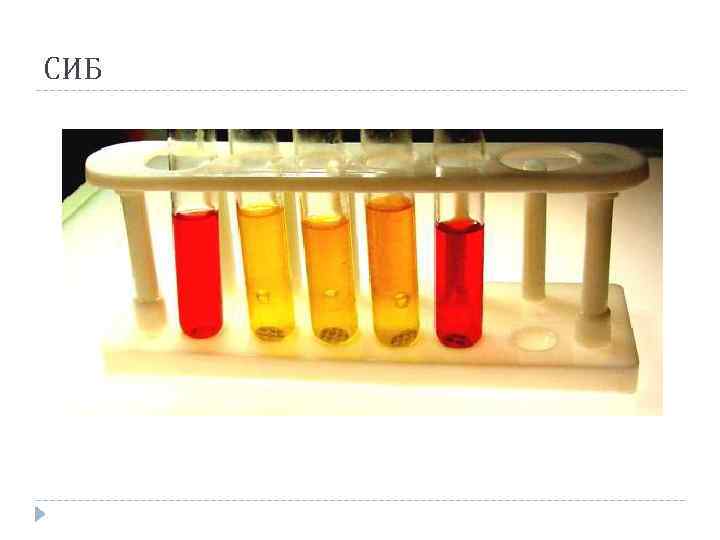 СИБ 