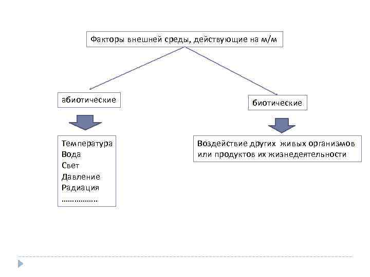 Факторы внешней среды, действующие на м/м абиотические Температура Вода Свет Давление Радиация ……………. .