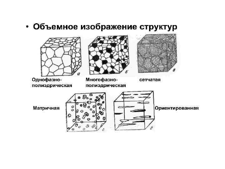 Микроструктуры клеток окрашенные в оранжевый цвет