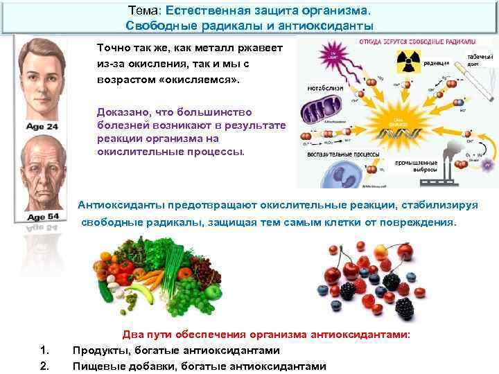 Тема: Естественная защита организма. Свободные радикалы и антиоксиданты Точно так же, как металл ржавеет