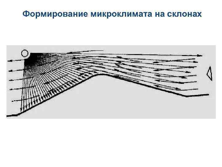Формирование микроклимата на склонах 