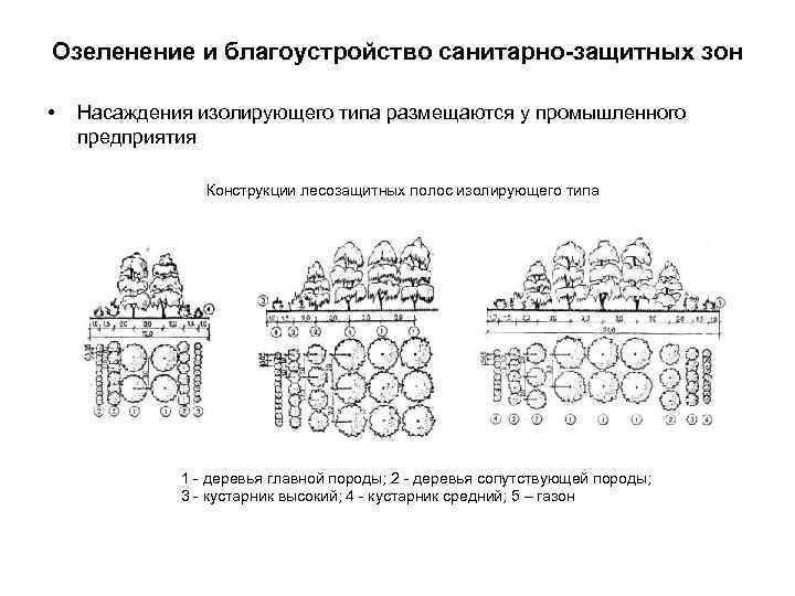 Озеленение и благоустройство санитарно-защитных зон • Насаждения изолирующего типа размещаются у промышленного предприятия Конструкции