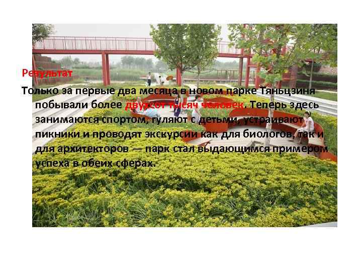 Результат Только за первые два месяца в новом парке Тяньцзиня побывали более двухсот тысяч