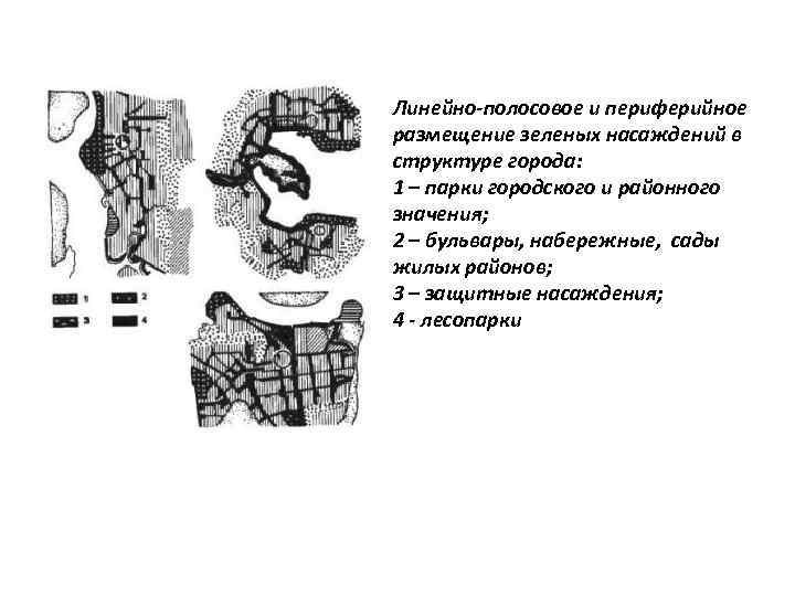 Линейно-полосовое и периферийное размещение зеленых насаждений в структуре города: 1 – парки городского и
