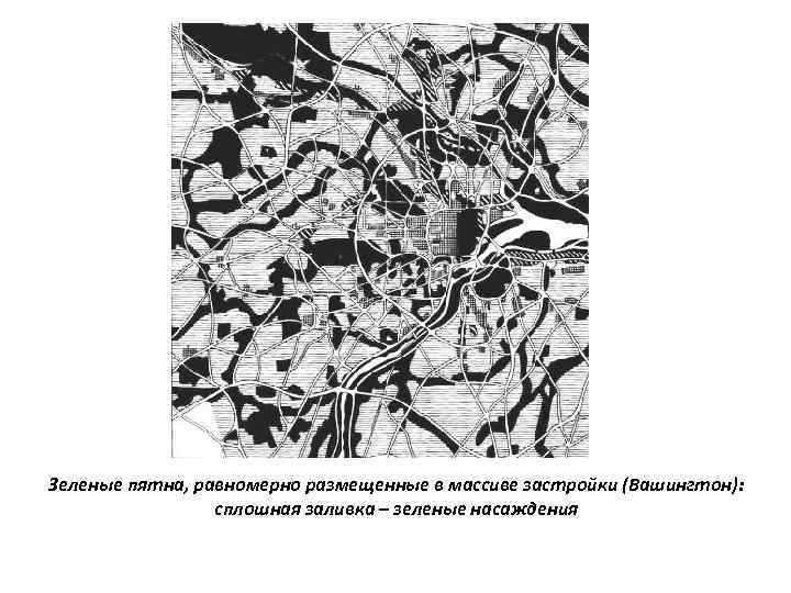 Зеленые пятна, равномерно размещенные в массиве застройки (Вашингтон): сплошная заливка – зеленые насаждения 