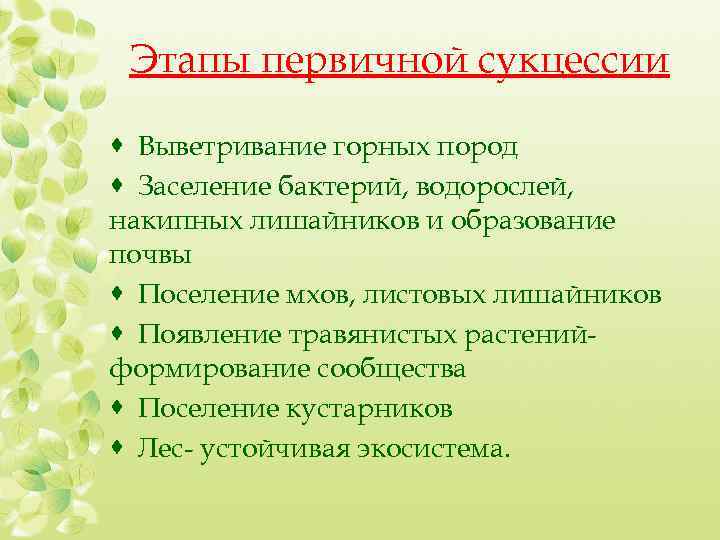 Этапы первичной сукцессии · Выветривание горных пород · Заселение бактерий, водорослей, накипных лишайников и