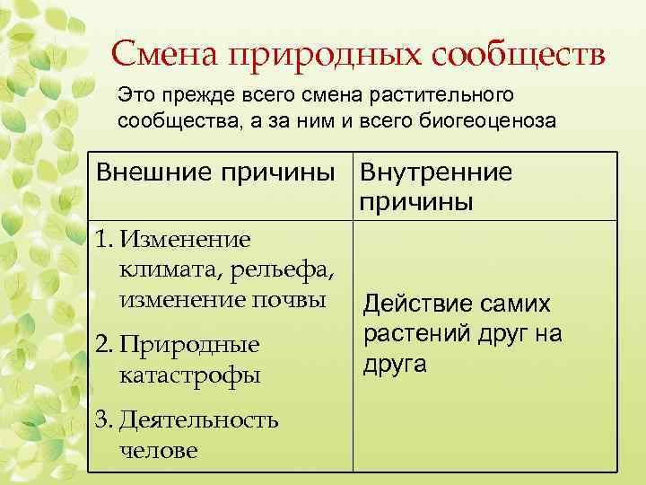 Смена природных сообществ Это прежде всего смена растительного сообщества, а за ним и всего