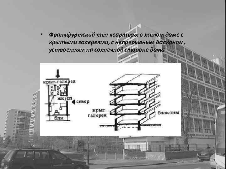 Какие леса встречаются в природе коридорные галерейные