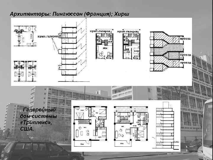 Какие леса встречаются в природе коридорные галерейные